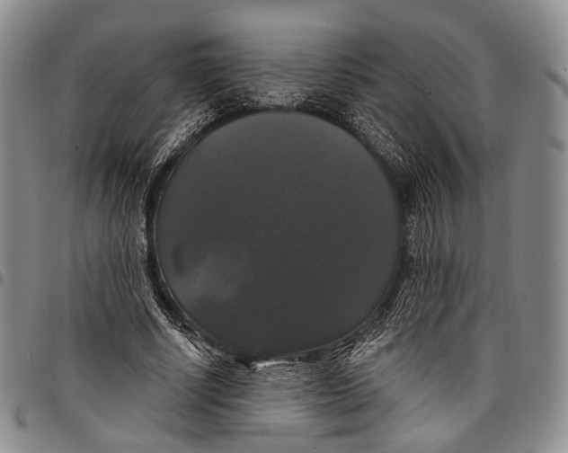X0000097990634200804141142