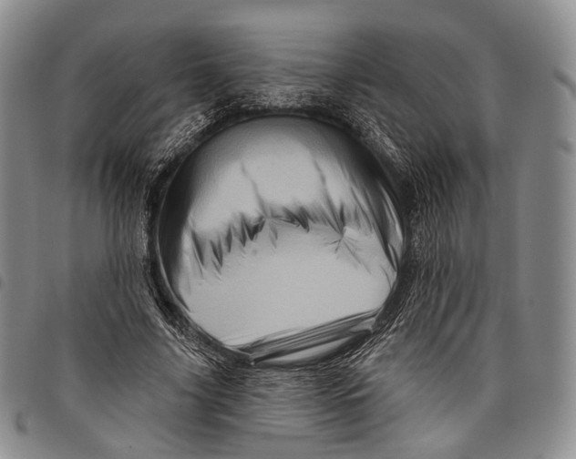 X0000097990635200804141142