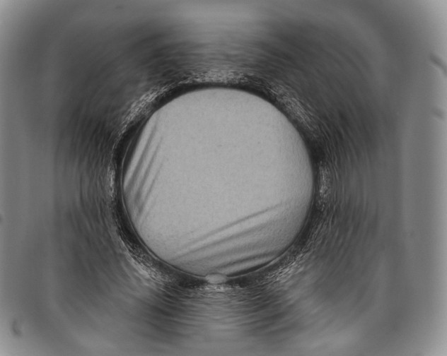 X0000097990636200804141142