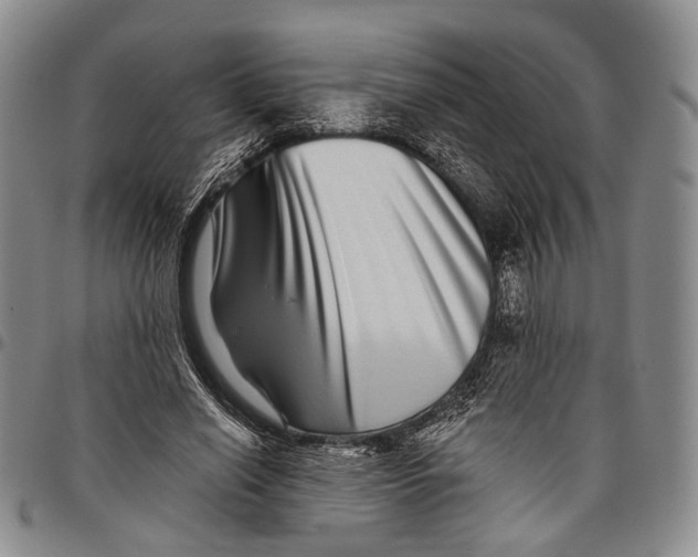 X0000097990638200804141142