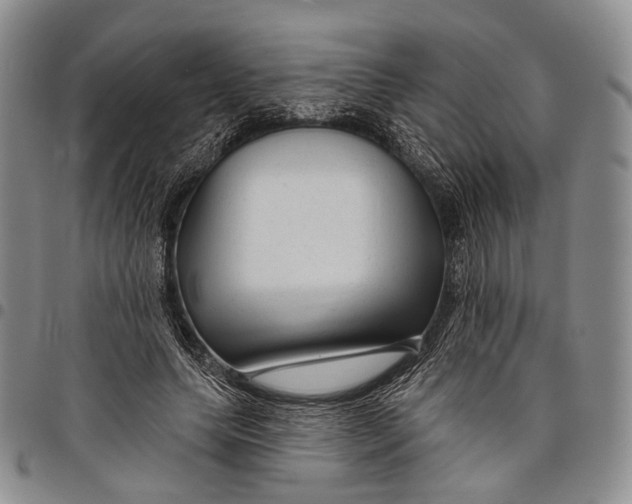 X0000097990639200804141142