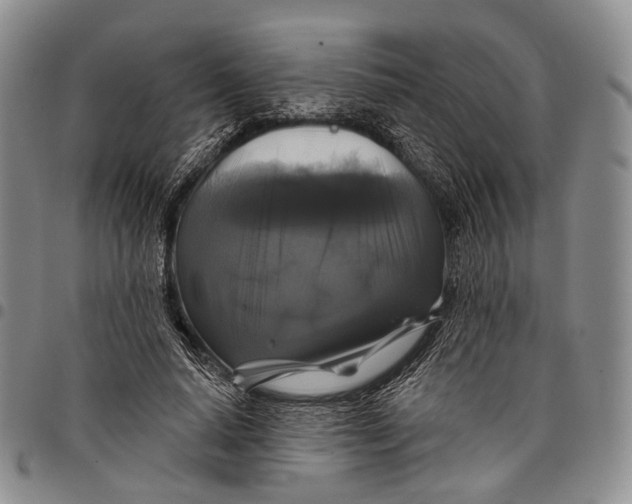 X0000097990640200804141142