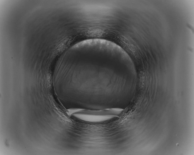 X0000097990641200804141142