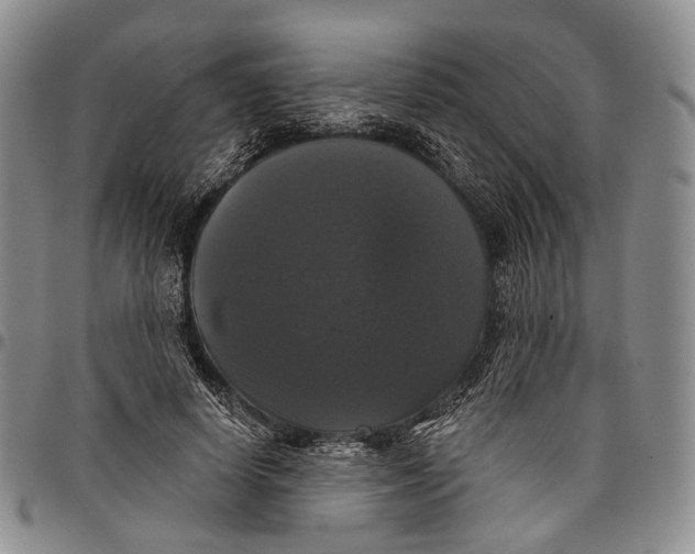 X0000097990642200804141142