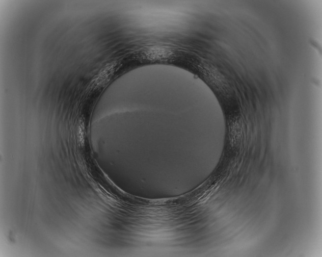 X0000097990644200804141142