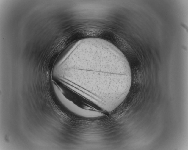X0000097990646200804141142