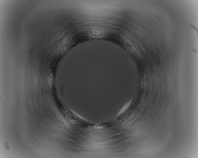 X0000097990647200804141142