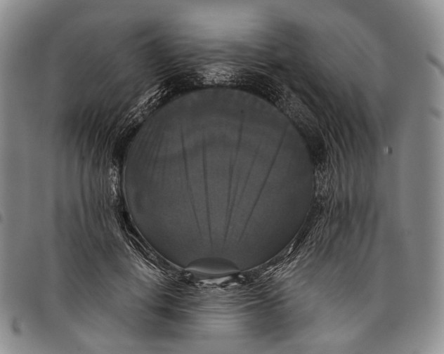 X0000097990648200804141143