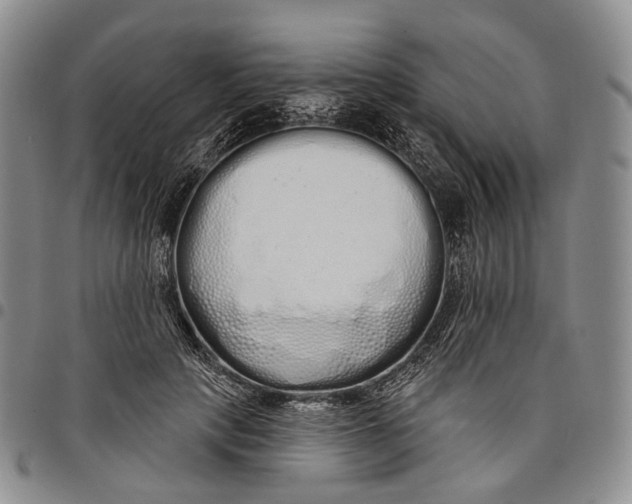 X0000097990649200804141143