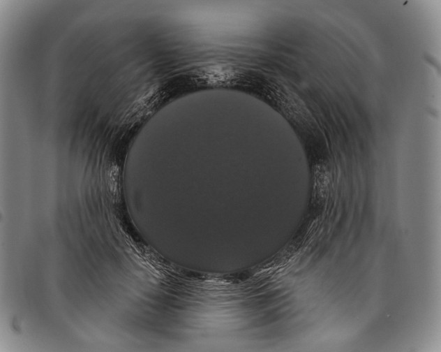 X0000097990650200804141143