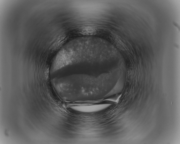 X0000097990652200804141143