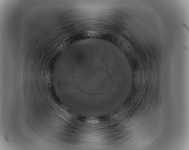 X0000097990653200804141143