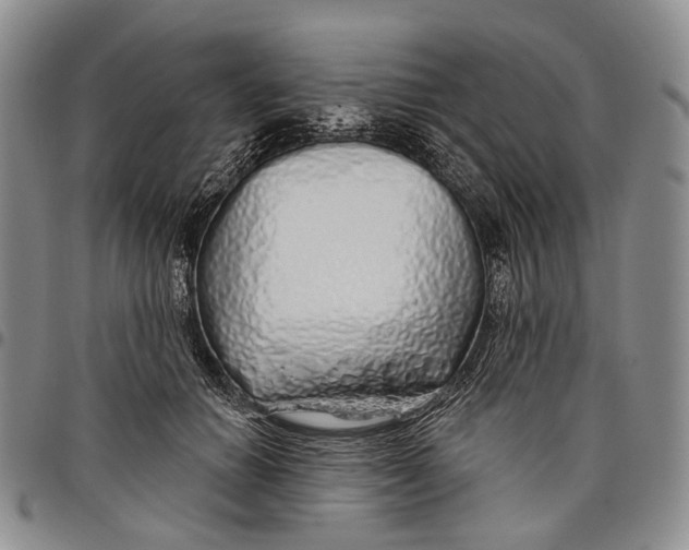 X0000097990654200804141143