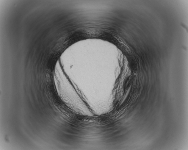 X0000097990655200804141143