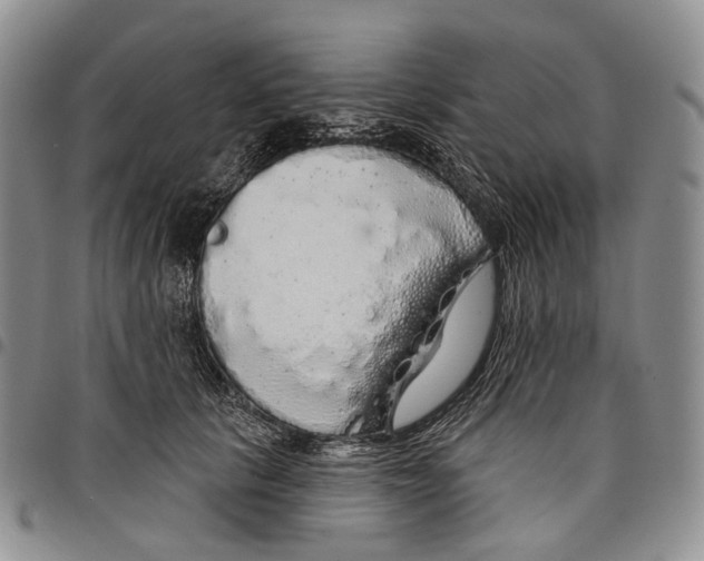 X0000097990657200804141143