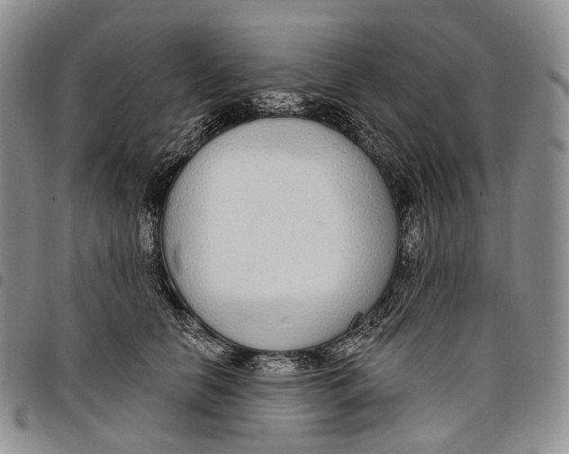 X0000097990658200804141143