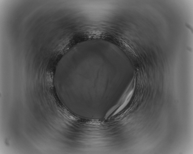X0000097990661200804141143