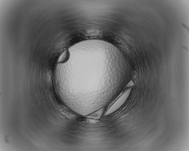 X0000097990662200804141143