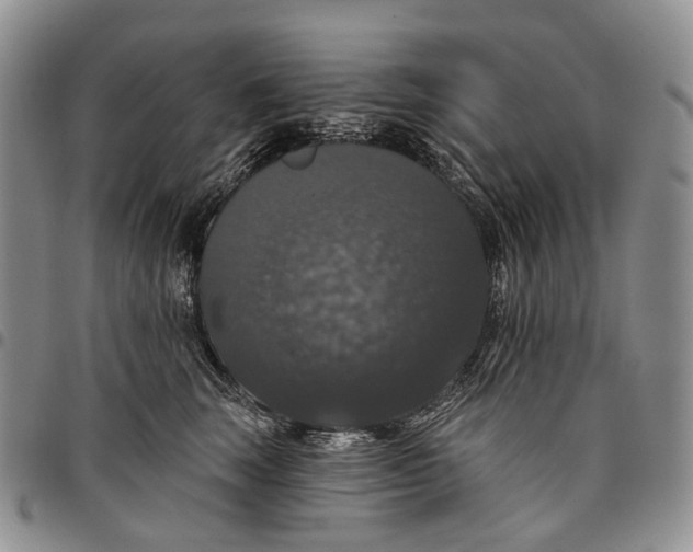 X0000097990663200804141143