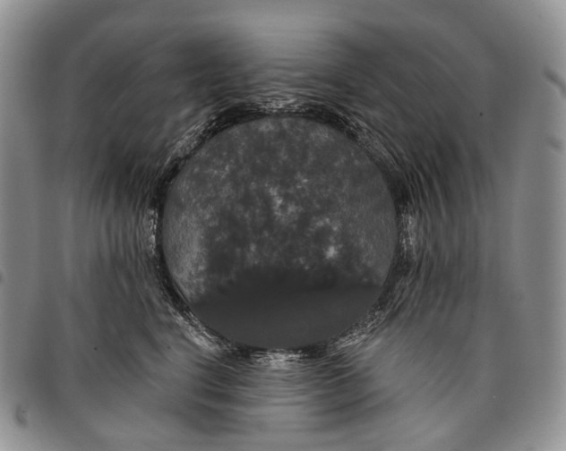X0000097990664200804141143