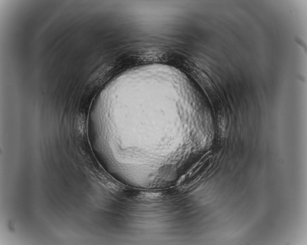 X0000097990665200804141143