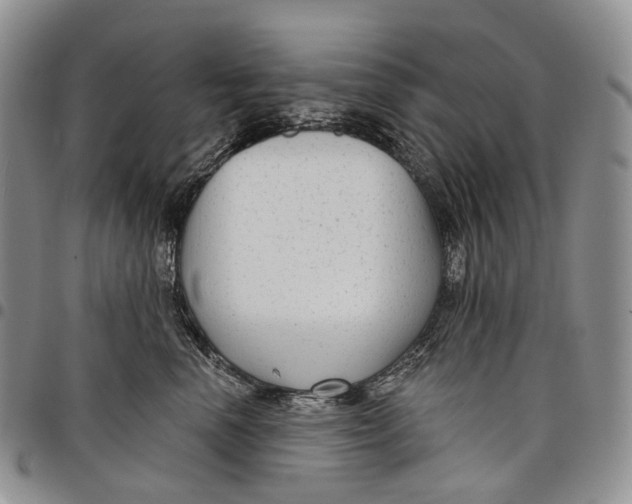 X0000097990666200804141143