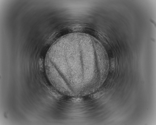 X0000097990667200804141143