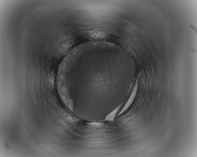 X0000097990668200804141143