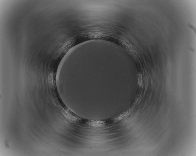 X0000097990670200804141143