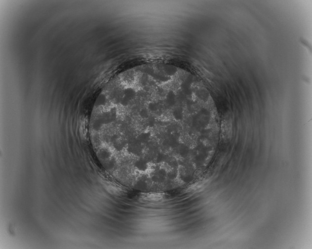 X0000097990671200804141143