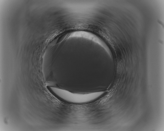 X0000097990673200804141142