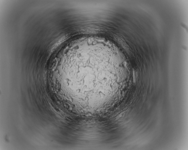 X0000097990675200804141142