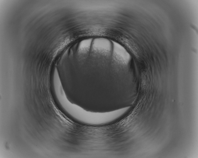 X0000097990677200804141142
