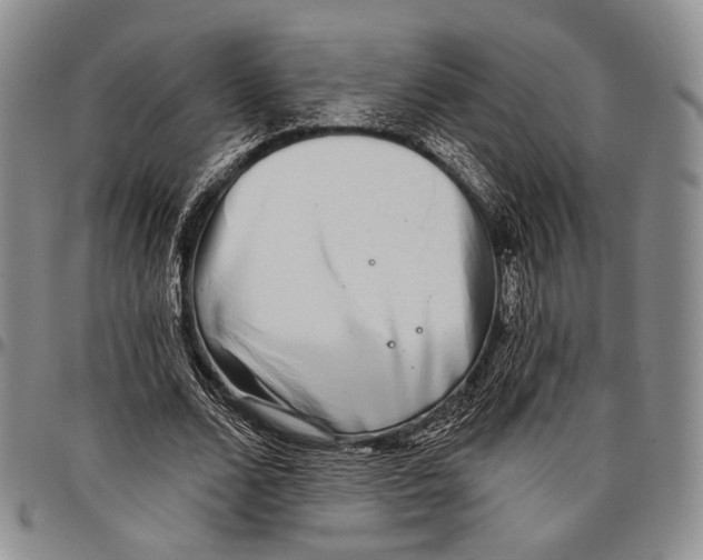 X0000097990680200804141142