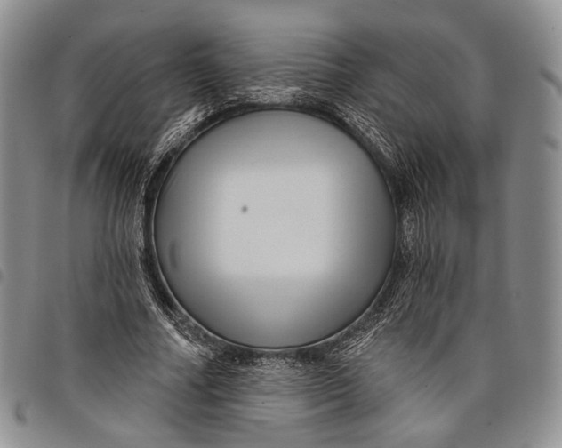 X0000097990682200804141142