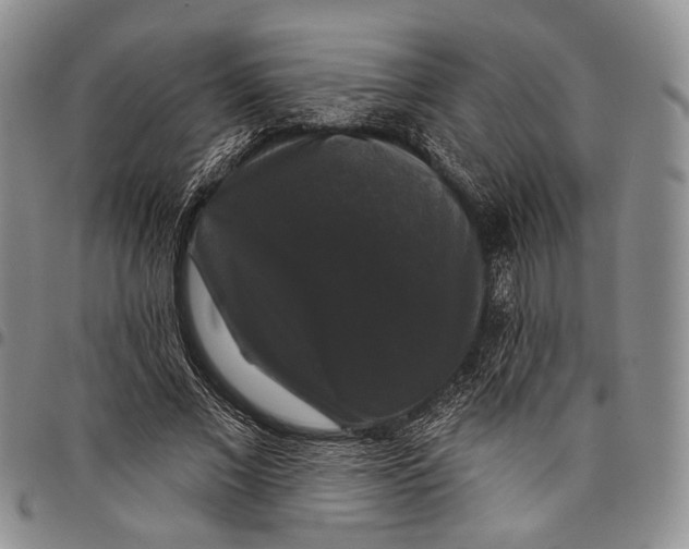 X0000097990685200804141142