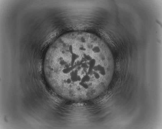X0000097990687200804141142