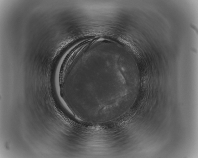 X0000097990688200804141142