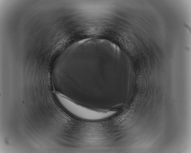 X0000097990689200804141142