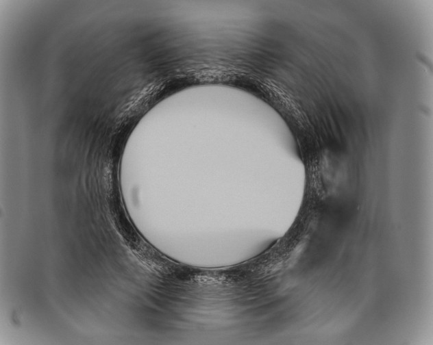 X0000097990690200804141142