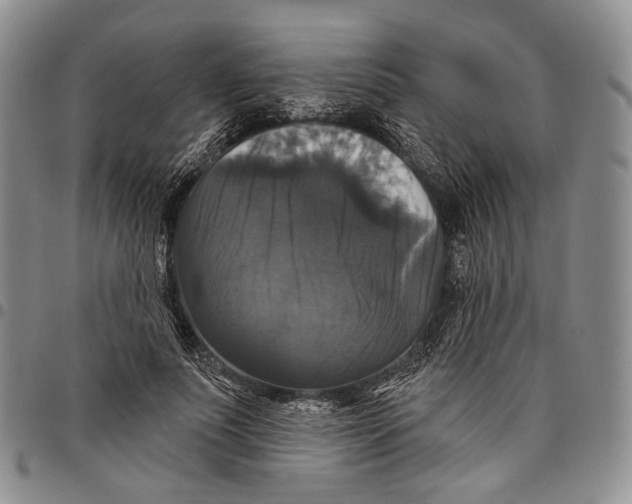 X0000097990691200804141142