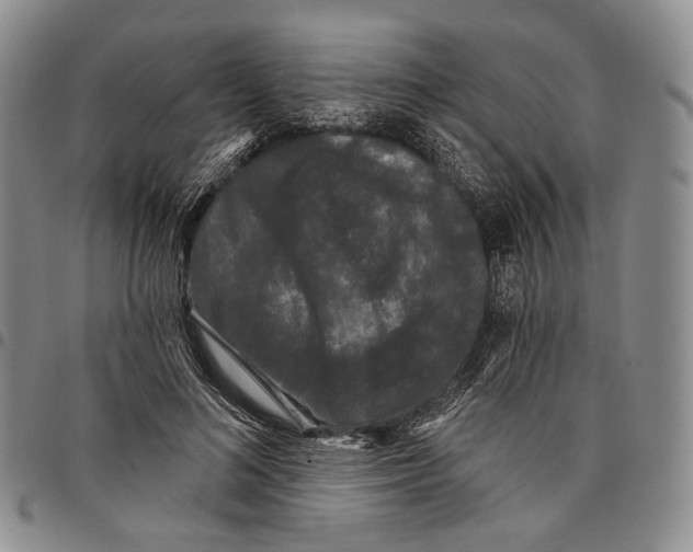 X0000097990692200804141142