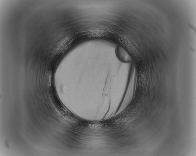 X0000097990694200804141142