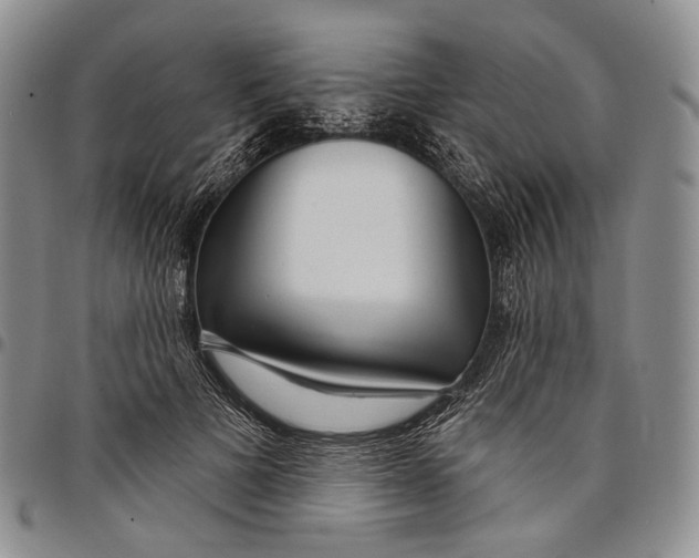 X0000097990697200804141142