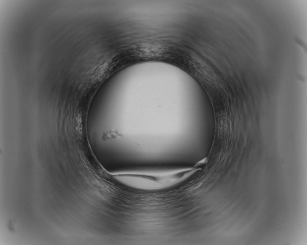 X0000097990700200804141142