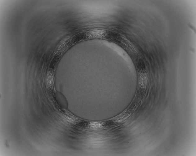 X0000097990701200804141142