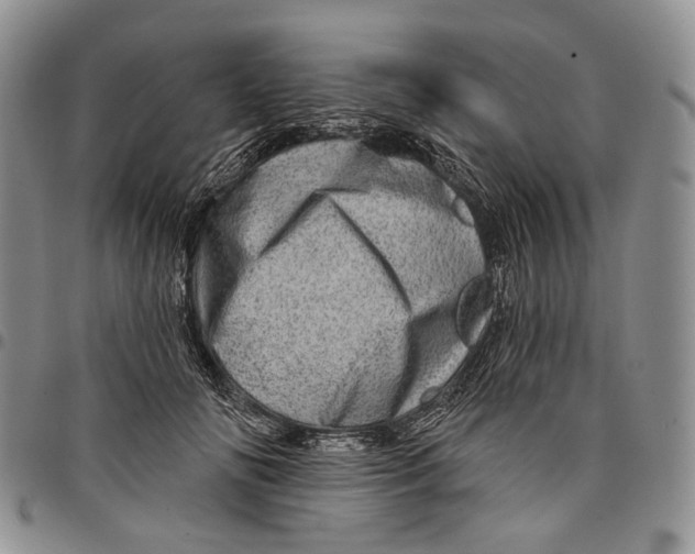 X0000097990702200804141142