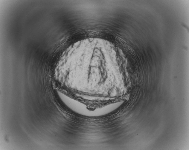 X0000097990703200804141142