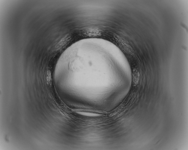 X0000097990704200804141142