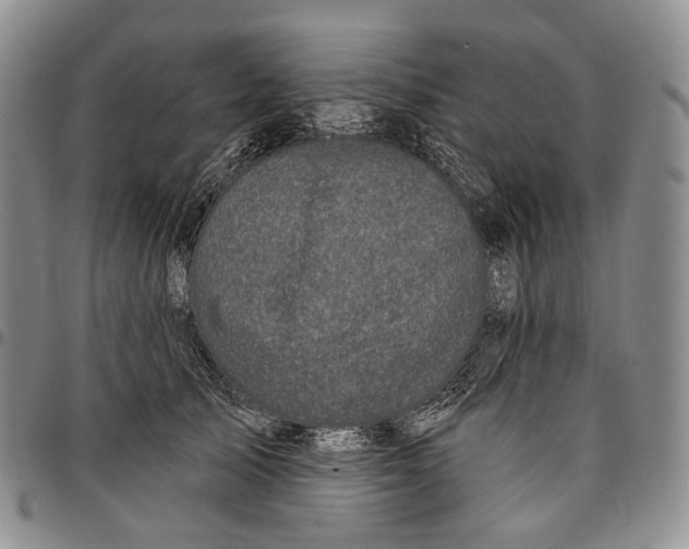X0000097990705200804141142